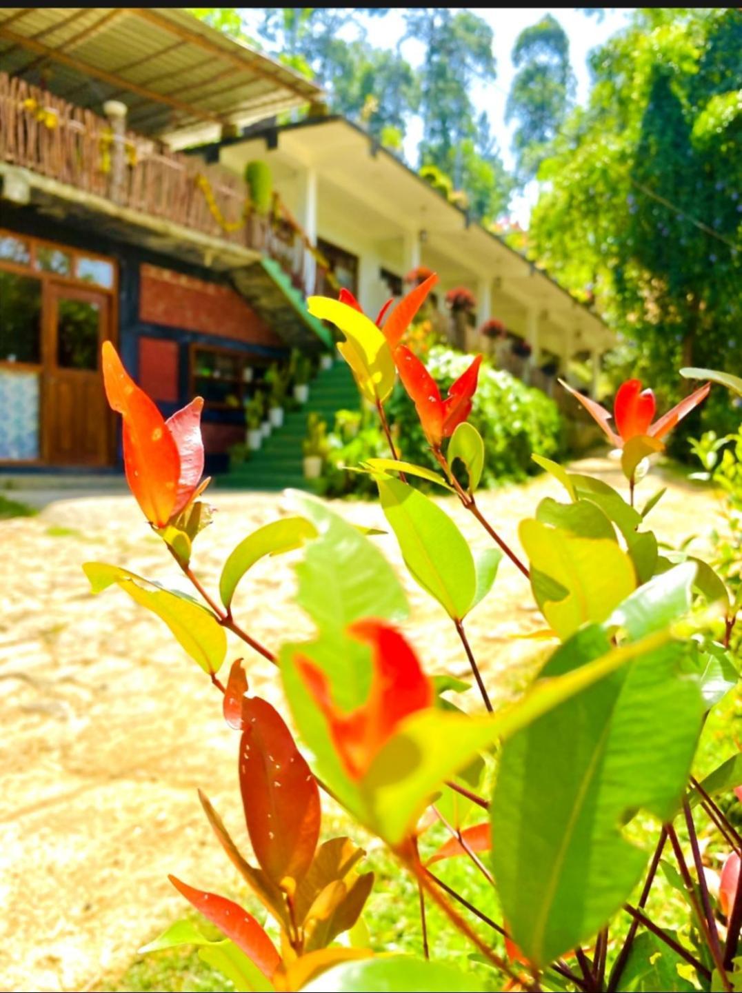Hotel Blissful Haven Ella Exterior foto